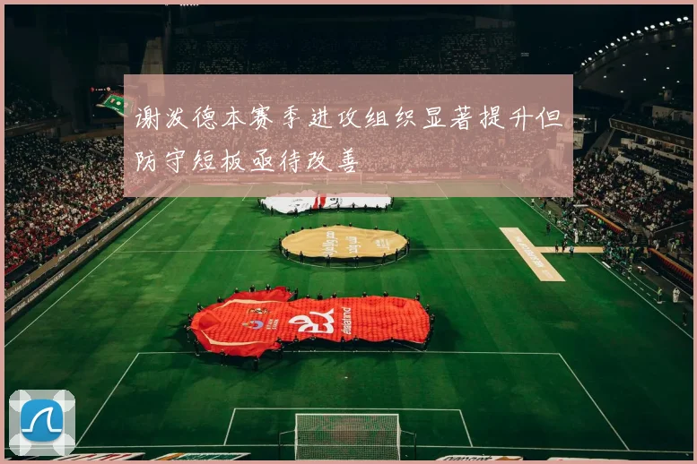谢泼德本赛季进攻组织显著提升但防守短板亟待改善